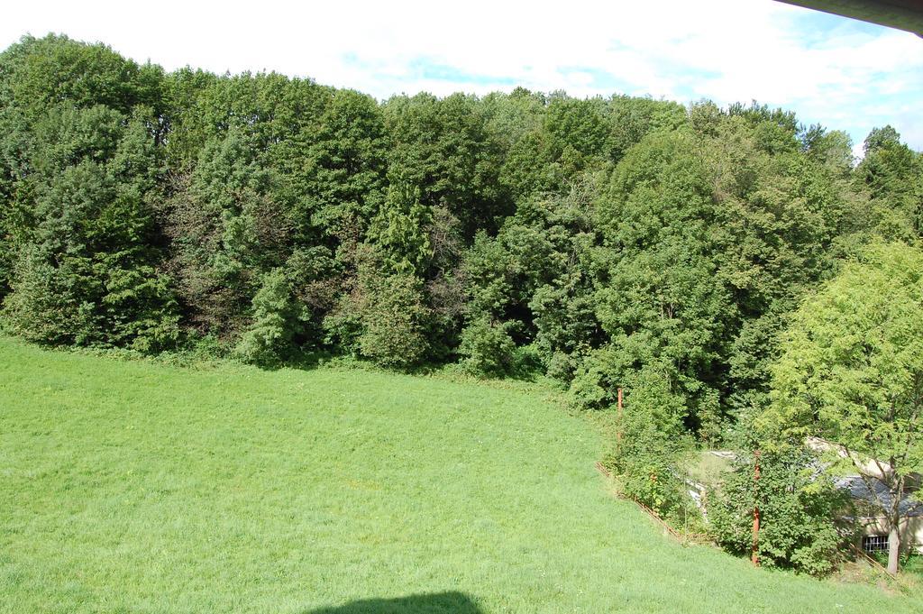 Penzion U Mustku Jiriho Rasky Trojanovice Rom bilde