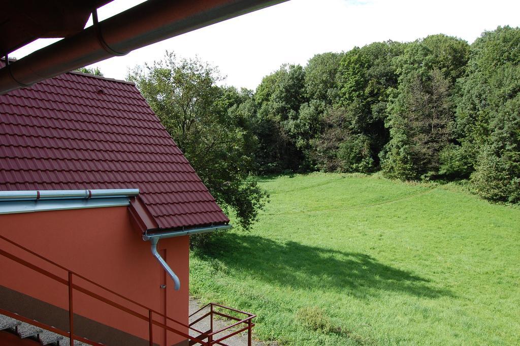 Penzion U Mustku Jiriho Rasky Trojanovice Rom bilde